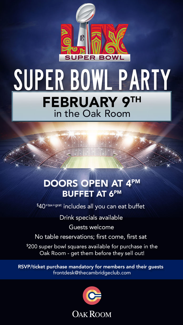 Super Bowl Party